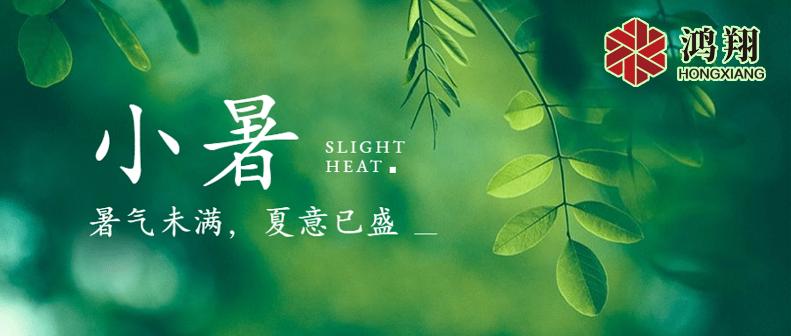 小暑| 標志著夏季的正式開始，也是一年中最熱的時候之一